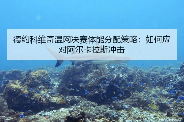 de-yue-ke-wei-qi-wen-wang-jue-sai-ti-neng-fen-pei-ce-lve-ru-he-ying-dui-a-er-ka-la-si-chong-ji-2-425.jpg