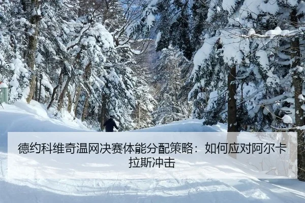 de-yue-ke-wei-qi-wen-wang-jue-sai-ti-neng-fen-pei-ce-lve-ru-he-ying-dui-a-er-ka-la-si-chong-ji-3-578.jpg